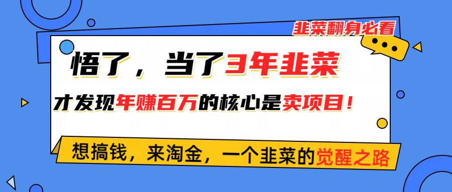 悟了，当了3年韭菜，才发现网赚圈年赚100万的核心是卖项目，含泪分享！-创客一号