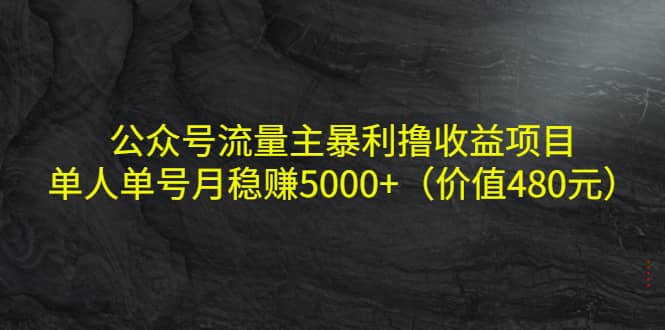 公众号流量主暴利撸收益项目，单人单号月稳赚5000+（价值480元）-创客一号