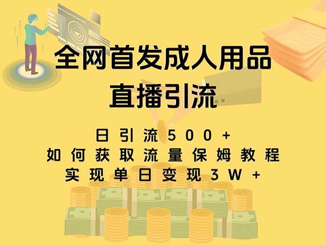最新全网独创首发，成人用品直播引流获客暴力玩法，单日变现3w保姆级教程-创客一号