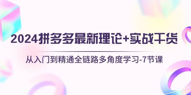 2024拼多多 最新理论+实战干货，从入门到精通全链路多角度学习-7节课-创客一号