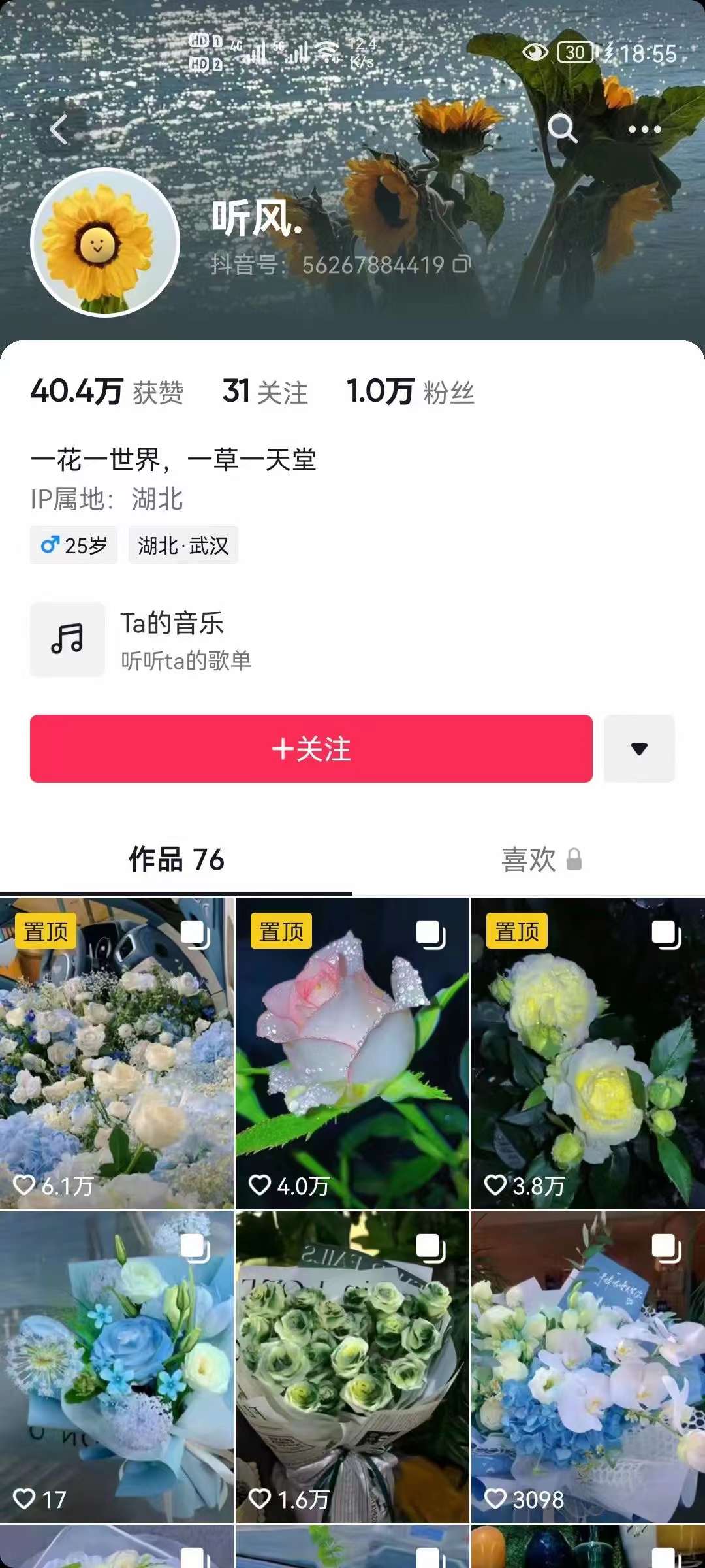 图片[2]-抖音壁纸变现项目：实战日入380+发布壁纸素材获取收益！-创客一号