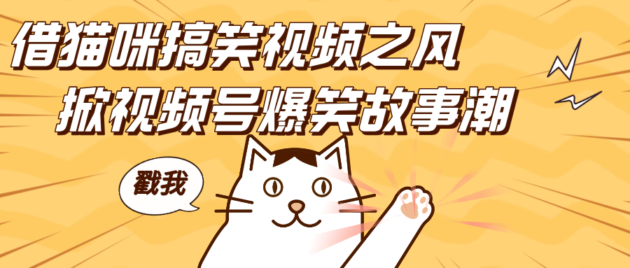 借猫咪搞笑视频之风，掀视频号爆笑故事潮，轻松日赚四位数，开启无门槛赚钱新体验！-创客一号