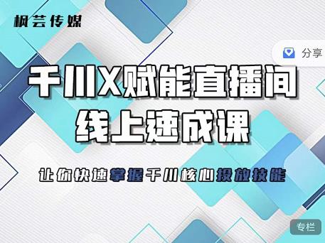 枫芸传媒-线上千川提升课，提升千川认知，提升千川投放效果-创客一号