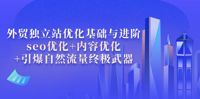 外贸独立站优化基础与进阶，seo优化+内容优化+引爆自然流量终极武器-创客一号
