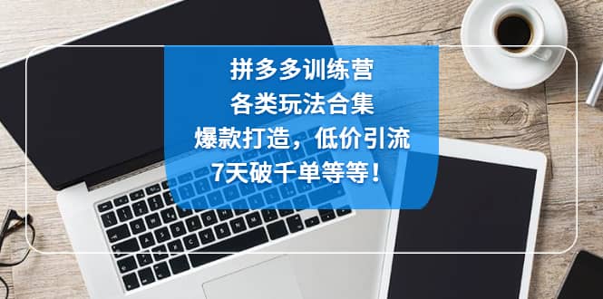 拼多多训练营：各玩法合集，爆款打造，低价引流，7天破千单等等-创客一号