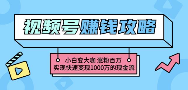 玩转微信视频号赚钱：小白变大咖涨粉百万实现快速变现1000万的现金流-创客一号
