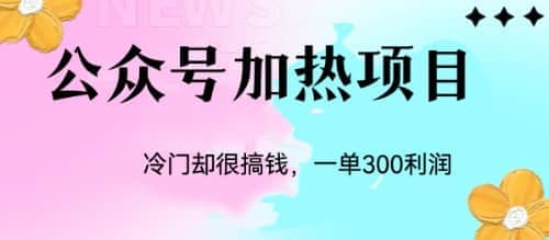 冷门公众号加热项目，一单利润300+-创客一号