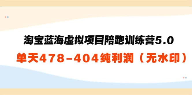 淘宝蓝海虚拟项目陪跑训练营5.0：单天478纯利润（无水印）-创客一号