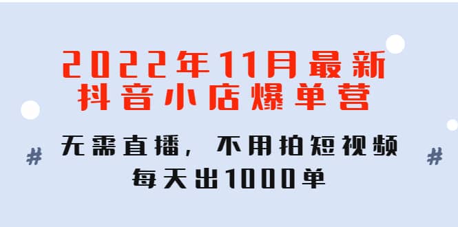 2022年11月最新抖音小店爆单训练营：无需直播，不用拍短视频，每天出1000单-创客一号