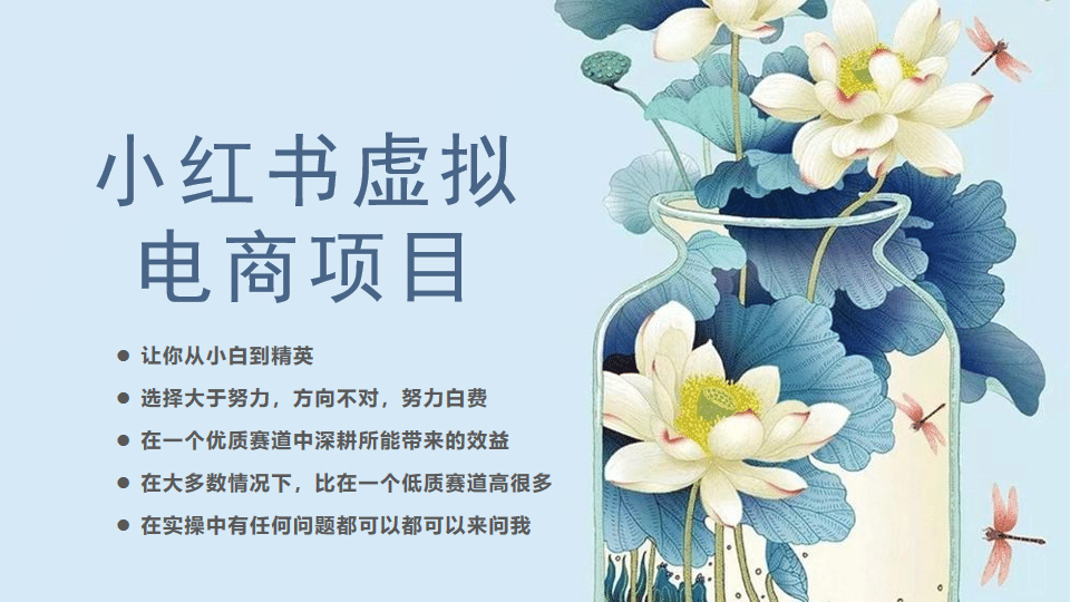 小红书虚拟电商从0到1，让你从小白到精英（20节实操课程）-创客一号