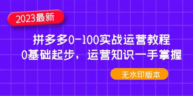 2023拼多多0-100实战运营教程，0基础起步，运营知识一手掌握（无水印）-创客一号