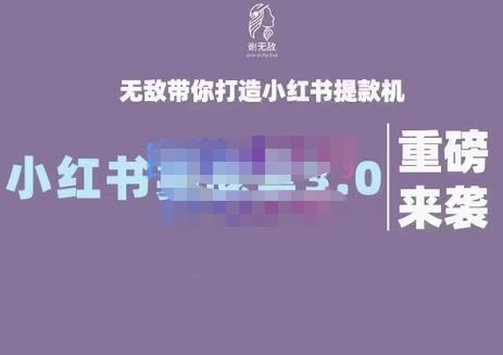 谢无敌·小红书实战营3.0，无敌带你打造小红书提款机 价值7999元-创客一号