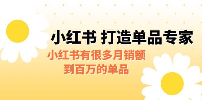 某公众号付费文章《小红书 打造单品专家》小红书有很多月销额到百万的单品-创客一号