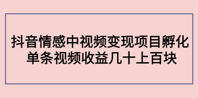 抖音情感中视频变现项目孵化-创客一号