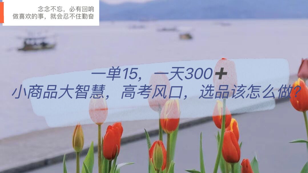 一单15，一天300+，小商品大智慧，高考风口，选品该怎么布局-创客一号