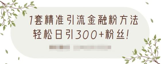 1套精准引流金融粉方法，轻松日引300+粉丝【视频课程】-创客一号