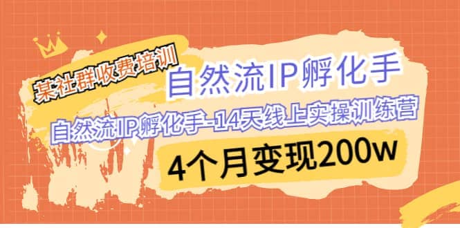 某社群收费培训：自然流IP 孵化手-14天线上实操训练营 4个月变现200w-创客一号