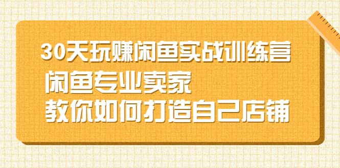 30天玩赚闲鱼实战训练营，闲鱼专业卖家教你如何打造自己店铺-创客一号