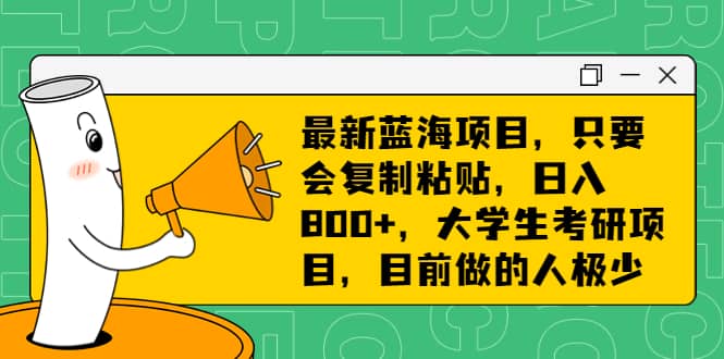 最新蓝海项目，只要会复制粘贴，日入800+，大学生考研项目，目前做的人极少-创客一号
