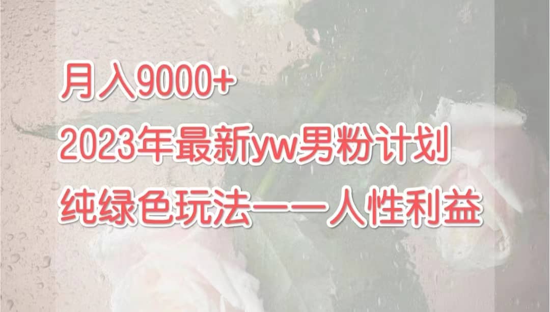 月入9000+2023年9月最新yw男粉计划绿色玩法——人性之利益-创客一号