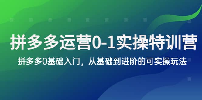 拼多多-运营0-1实操训练营，拼多多0基础入门，从基础到进阶的可实操玩法-创客一号