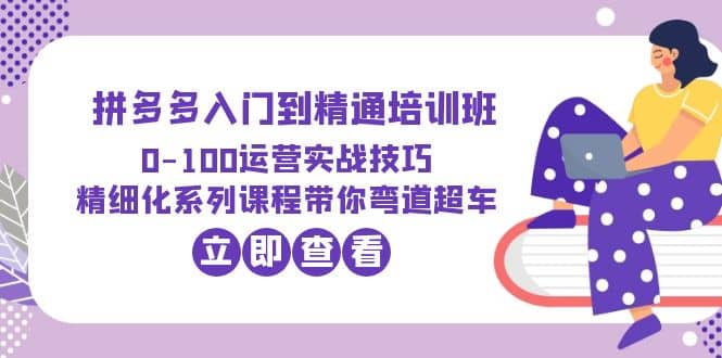 2023拼多多入门到精通培训班：0-100运营实战技巧 精细化系列课带你弯道超车-创客一号