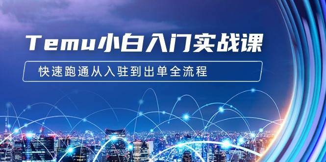 Temu小白入门实战课：跨境拼多多电商培训 快速跑通从入驻到出单全流程-12节-创客一号