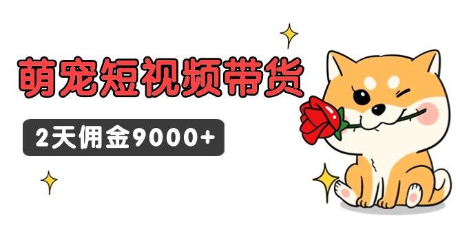 东哲日记·萌宠短视频带货，2天佣金9000+-创客一号