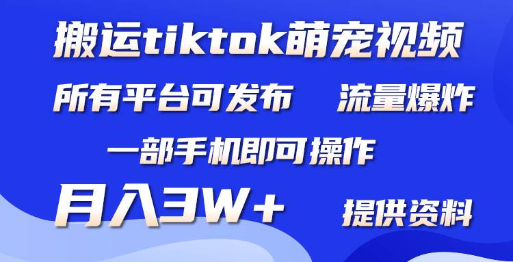 搬运Tiktok萌宠类视频，一部手机即可。所有短视频平台均可操作，月入3W+-创客一号
