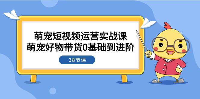 萌宠·短视频运营实战课：萌宠好物带货0基础到进阶（38节课）-创客一号