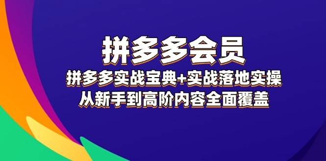 拼多多 会员，拼多多实战宝典+实战落地实操，从新手到高阶内容全面覆盖-创客一号