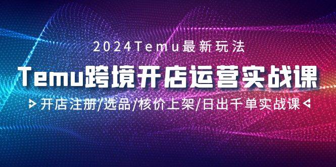 2024Temu跨境开店运营实战课，开店注册/选品/核价上架/日出千单实战课-创客一号