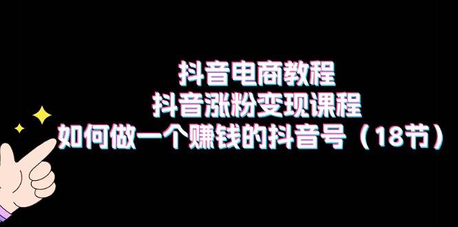 抖音电商教程：抖音涨粉变现课程：如何做一个赚钱的抖音号（18节）-创客一号