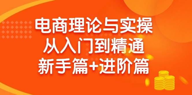 电商理论与实操从入门到精通 新手篇+进阶篇-创客一号