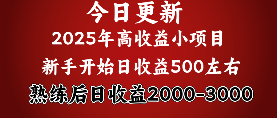 2025开年好项目，新手日收益500+ 熟练掌握后，日收益平均2000多-创客一号