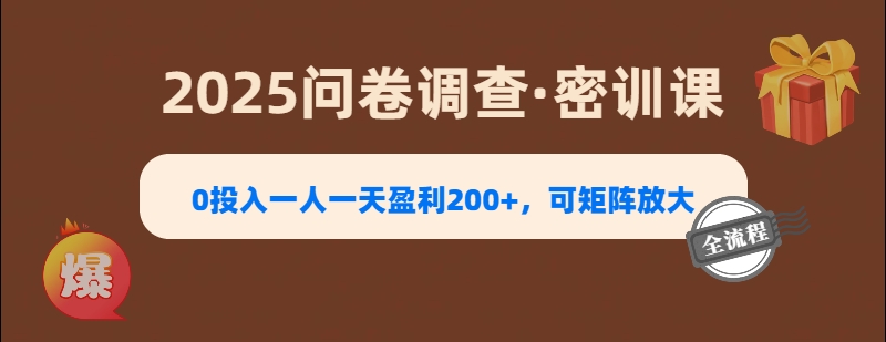 2025《问卷调查》0投入一人一天盈利200+，可矩阵放大-创客一号