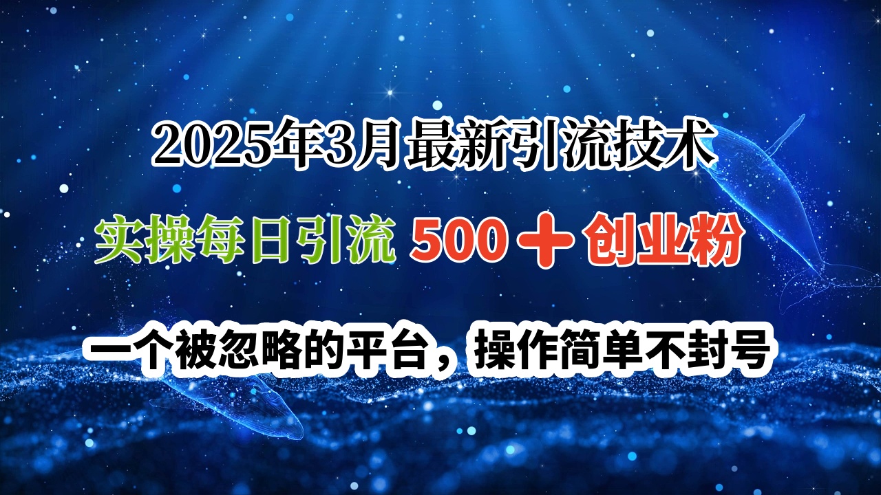 2025年3月最新引流技术，实操每日引流500➕创业粉，一个被忽略的平台，操作简单不封号-创客一号