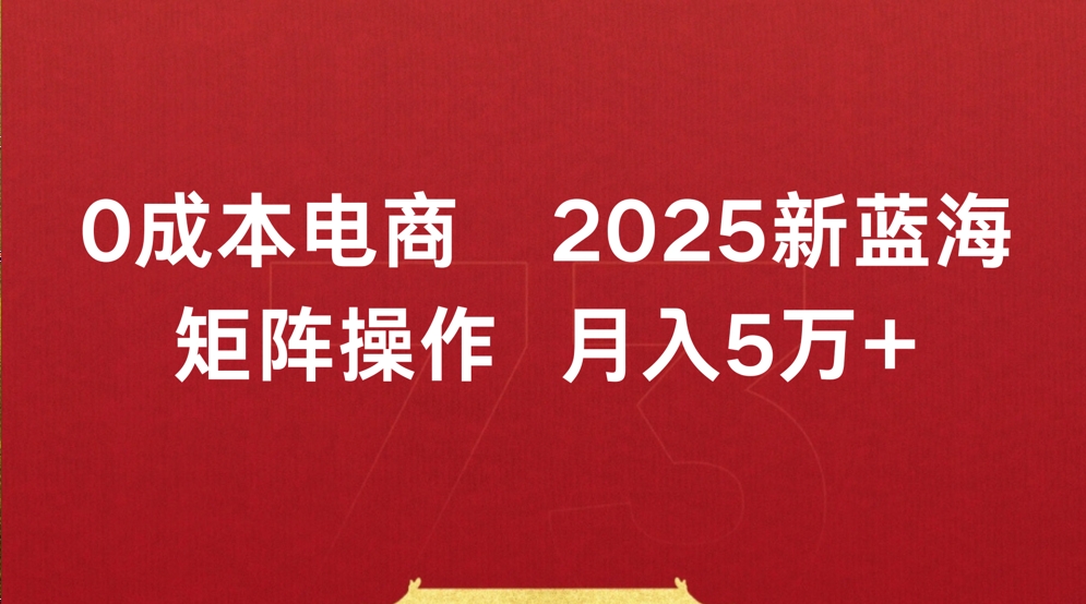 0成本电商2025新蓝海矩阵操作 月入5万+-创客一号