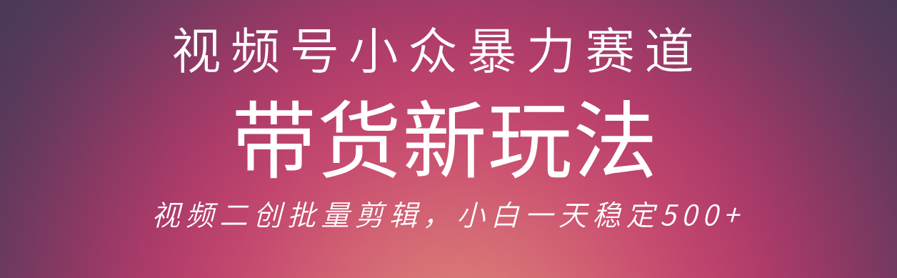 视频号小众暴力赛道，最新带货玩法 小白也能轻松日入500+ 保姆及教程-创客一号